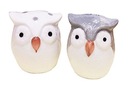 Soľnička a korenička OWLS GADGET GIFT