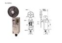 Koncový spínač HL-5030L Koncový spínač s 50mm valčekom