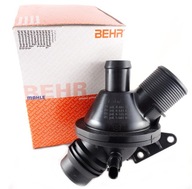 Termostat BEHR BMW 3 F30 320i 328i 5 F10 520i 528i