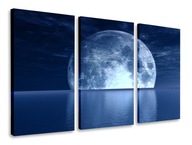 OBRAZ TRIPTYCH BLUE MOON 165x100