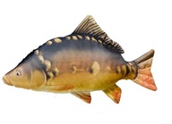 GABY plyšový vankúšik rybička CARP obrie 90cm