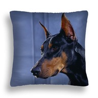 VANKÚŠ PRE PSA 02 DOBERMAN VANKÚŠOK JASIEK 40X40 24H