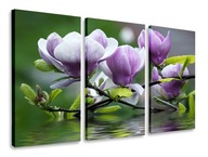 OBRAZOVÝ TRIPTIQUE KVETY MAGNOLIAS TRIPTICS 120x80