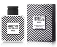 New Brand Story White EDT 100ml NOVINKA /montblanc