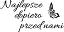 nálepka na stenu, nápis citát, to najlepšie ešte len príde, 50 cm