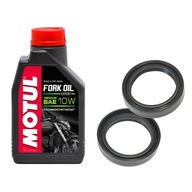 SADA TESNENIA NA OLEJ MOTUL CB 500 94-03