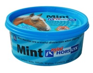 HORSLYX vitamínový liz MINT 650g