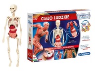 Clementoni KOMPLET SKELETU ĽUDSKÉHO TELA