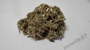 Mugwort bylina palina - 1000g - Dary Podlasie