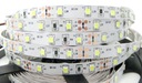 300 LED SMD 2835 IP20 5m studená biela HQ STRIP