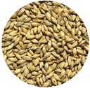 PILZE slad Viking Malt 5kg