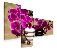 OBRAZOVÝ TRIPTYCH 110x80 ORCHIDEJ ŠTRK MODERNÉ