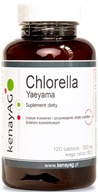 JAPONSKÁ YAEYAMA CHLORELLA 120TAB 500 mg KENAY ALGAE