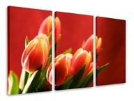 PICTURE TRIPTIQUE ABSTRAKT TRIPTIQUE 75x40
