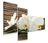 OBRAZOVÝ TRIPTYCH 110x80 ORCHIDEA BAMBUS MODERNÁ