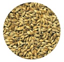 RED ALE Viking Malt 5kg