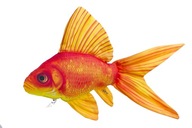 GABY plyšový vankúšik rybička GOLDEN FISH. 50 cm