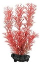 Tetra DecoArt Plant M FOXTAIL RED Rastlina 23cm