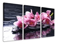 OBRAZOVÝ TRIPTYCH KVETY KAMENE TRIPTYCH 75x40