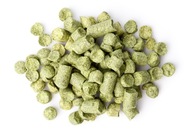 Citra univerzálny chmeľ (USA) 100 g