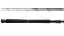 Daiwa BG Pilk 3,10m 50-150g 11885-305