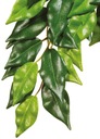 Umelá rastlina – Silk Ficus, S