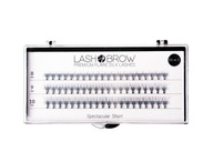 LashBrow trsy Spectacular Short PREMIUM FLARE FREE GLUE