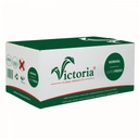 VICTORIA Floral Sponge Wet Cube 20 kusov