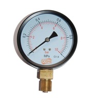 Manometer fi 100 GOSHE 10 bar manometer dole