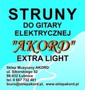 STRUNOVÝ STRÚN NA ELEKTROGITARU + ODBER ZADARMO