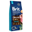 BRIT Premium by Nature Sensitive Lamb 2x 15kg