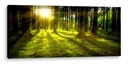 LED OBRAZ 120x50 - podsvietený - SUNNY GLOW