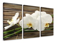 OBRAZOVÝ TRIPTYCH ORCHIDOVÝ BAMBUSOVÝ TRIPTYCH 165x100