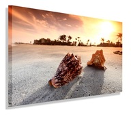 OBRAZOVÉ MUŠLE SHELL PLÁŽOVÉ OBRAZY PLÁTNO 40x30
