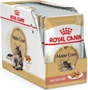 Royal Canin Maine Coon mokré krmivo v omáčke 12x85g