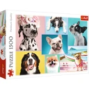 Trefl Puzzle Sweet dogs 1500 ks.