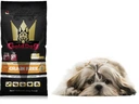 Krmivo bez obilnín pre Shih Tzu GOLDDOG 5kg hovädzie mäso