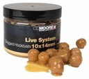 CC MOORE LIVE SYSTEM GLUGGED BALLS 10x14