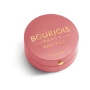 Bourjois Pastel 74 Rose Amber Blush