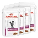 Royal Canin Cat Renal s hovädzím mäsom VHN 12x85g