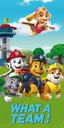 Detská osuška 70x140 Paw Patrol psíkov Chase Skye