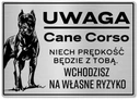 Attention Dog Cane Corso plaketa veľká 35x25