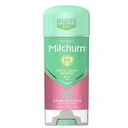 DEODORANT GÉL MITCHUM 48H POWDER FRESH 96g USA