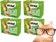 KITEKAT JEMNÁ PRÍCHUŤ 48x85g