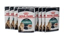 Royal Canin Hairball Care 12 x 85 g na vlasové guličky