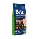 BRIT PREMIUM BY NATURE DOSPELÝ EXTRA LARGE XL 15KG