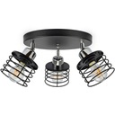 STROPNÉ LAMPY, STROPNÉ LAMPY, EDISON LOFT LED LUNTER