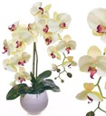 UMELÝ KVET ORCHIDEÍ UMELÝ KVET ORCHIDEÍ