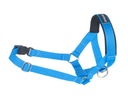 amiplay Halter Basic Bridle Golier M Blue