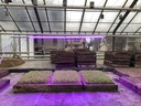 Svietidlo na pestovanie rastlín GROW LED 22W 120LED IP65 PL